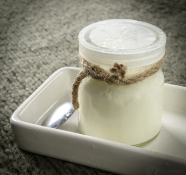 Yaourt nature sucré Magimix.