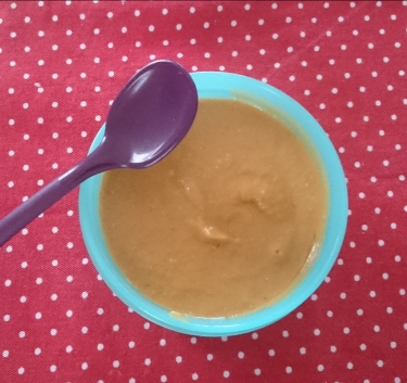 Purée carottes-haricots verts-poulet Magimix.