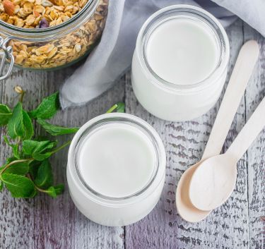 Vanilla yoghurt Magimix.