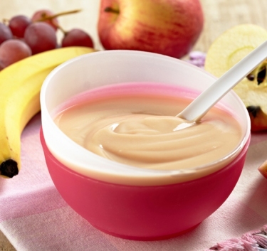 Crème de fruits Magimix.