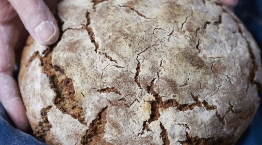 Rye bread with poppy and linseeds