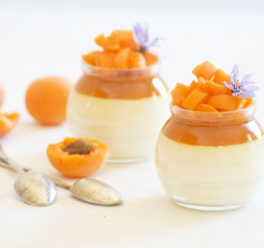Panna cotta - abricots Magimix.