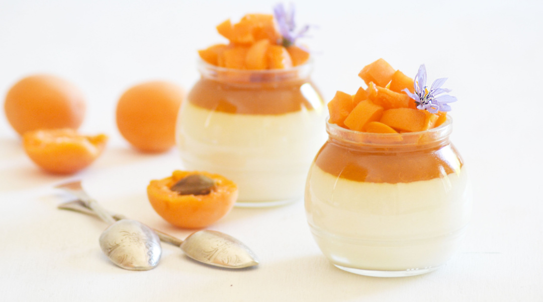 Panna cotta - abricots
