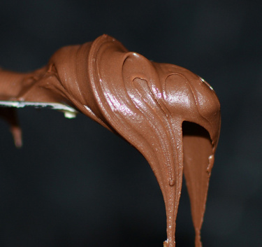 Pâte à tartiner aux noisettes Magimix.