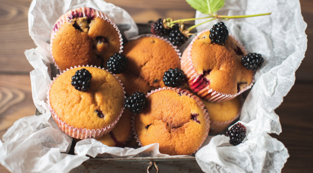 Muffins aux mûres