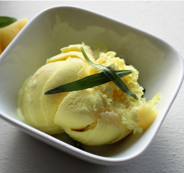 Glace à l'estragon Magimix.
