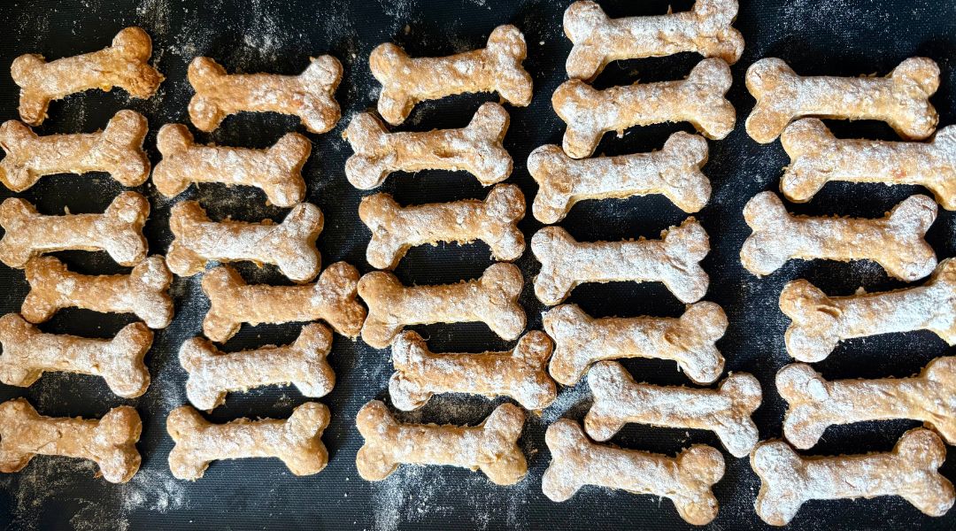 Dog biscuits