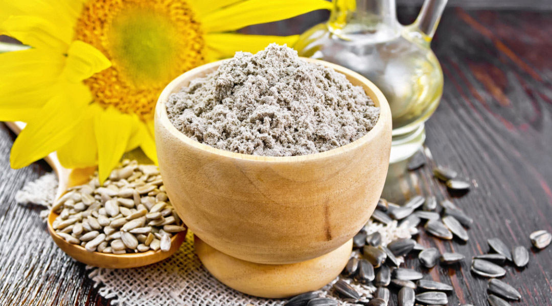 Sunflower seeds powder | Magimix Recipe