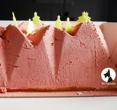 Bûche mangue passion Magimix.